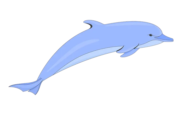 Dolphin underwater swimming forward gracefully  Illustration
