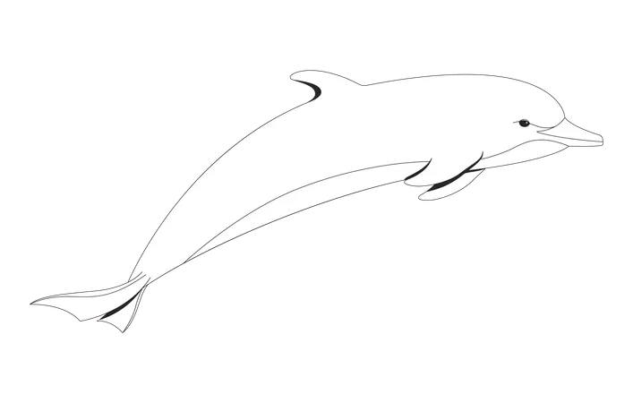 Dolphin underwater swimming forward gracefully  Illustration