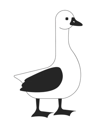 Domestic goose standing  Illustration