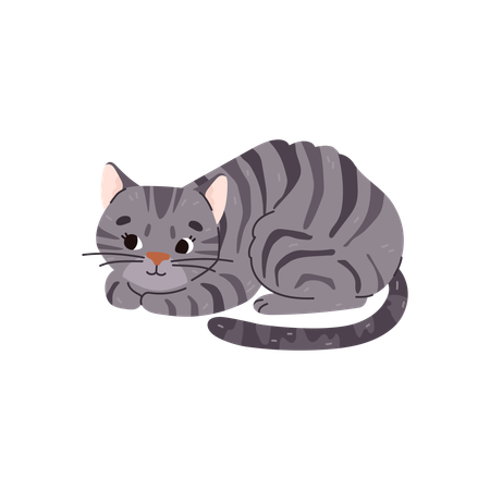 Domestic striped gray cat  Illustration