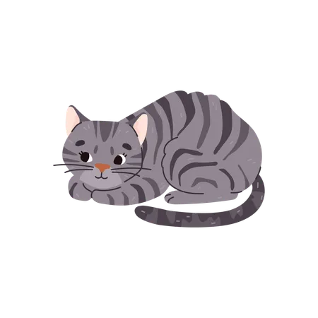 Domestic Striped Gray Cat Or Kitten Character Laying Cartoon Flat Vector Illustration Isolated On White Background Funny Domestic Pet Animal For Cats Lovers Illustration
