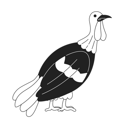 Domestic turkey bird  일러스트레이션