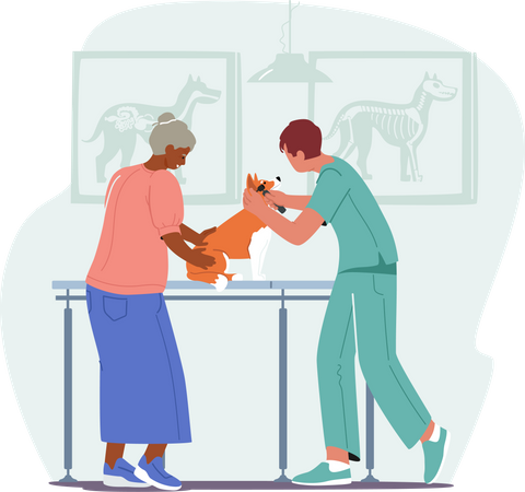 Dona de cadela idosa em consulta no hospital veterinário  Ilustração