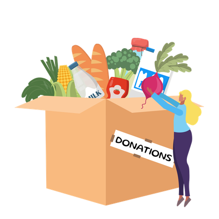 Donation Box Filled with Food Items and Volunteer Placing Vegetables  Illustration