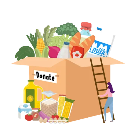 Donation Box with Food Items and Volunteer  Illustration
