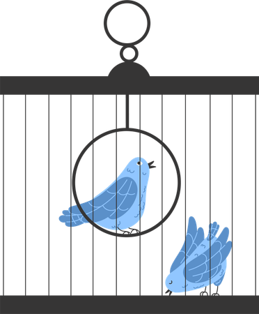 Dos pájaros azules en una jaula de alambre cuadrada  Ilustración