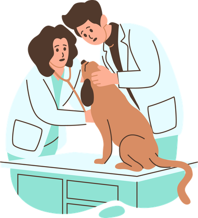 Dos veterinarios examinando a un perro en una clínica  Ilustración