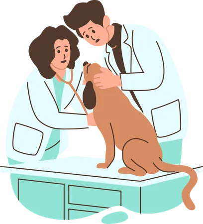 Dos veterinarios examinando a un perro en una clínica  Ilustración