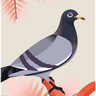 illustration for dove