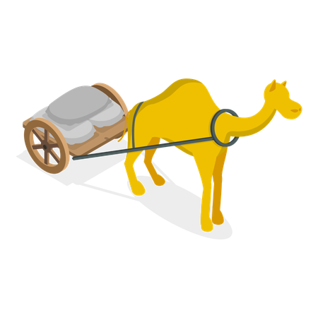 Draft Animal Camel  Illustration