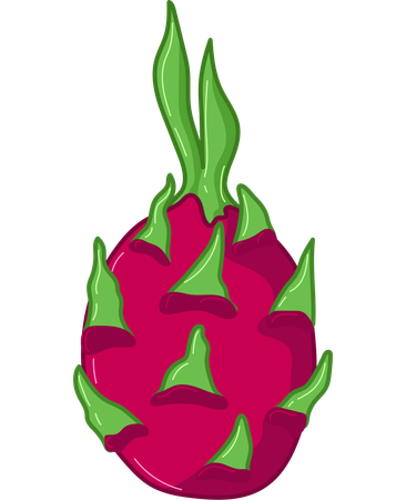 Dragon Fruit Exotic  Illustration