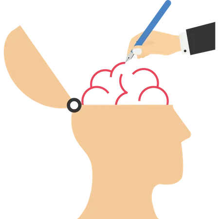 Drawing brain and adding ideas to head  Illustration