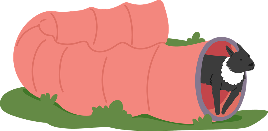 Entraînement canin en extérieur avec obstacle tunnel  Illustration