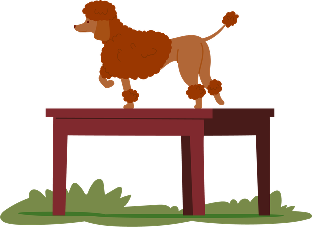 Chien faisant un dressage à la table  Illustration