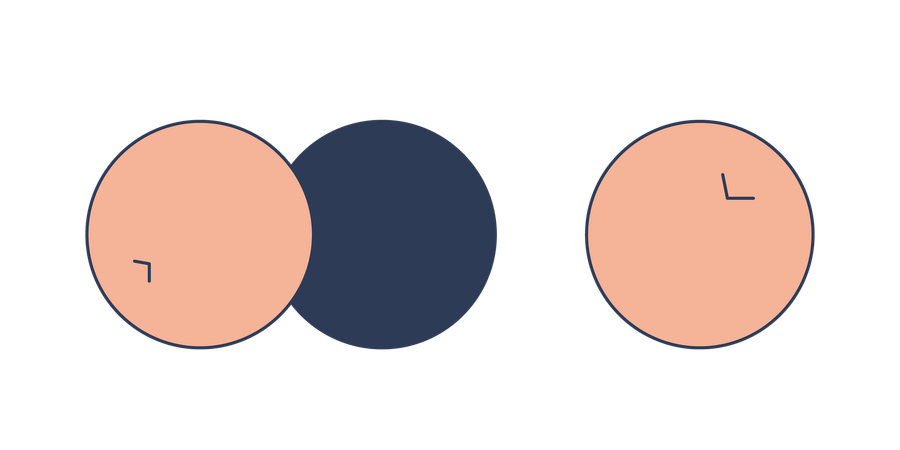 Dried berries  Illustration