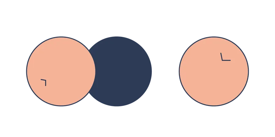 Dried berries  Illustration