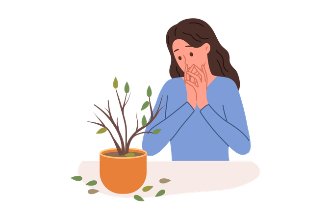 Dried out houseplant in pot causes stress to upset woman who is interested in botany  Illustration