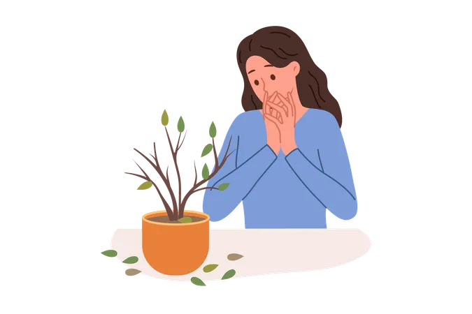 Dried Out Houseplant In Pot Causes Stress To Upset Woman Who Is Interested In Botany Discouraged Girl Sees Sick Houseplant That Has Become Victim Of Pests Or Low Quality Fertilizers Illustration