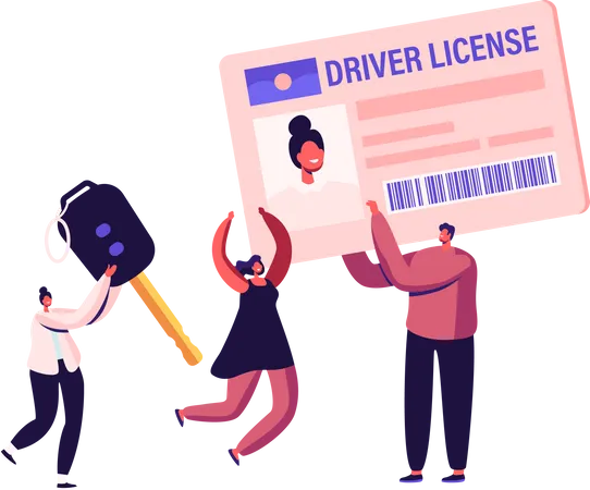 Driving License  Illustration