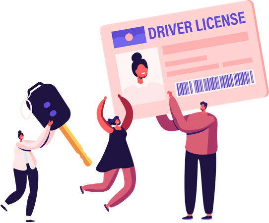 Driving License  Illustration