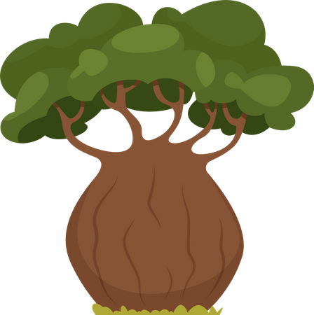 Dschungelbaum  Illustration