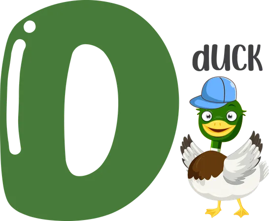 Duck  Illustration