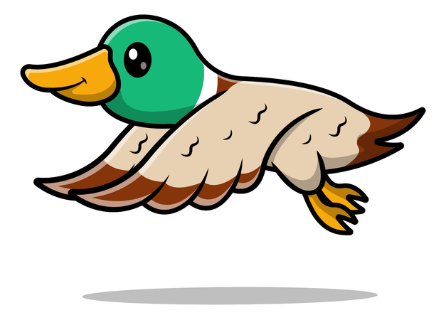 Duck Bird Flying  Illustration