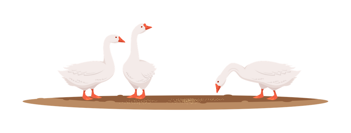 Duck Eating Food Illustration