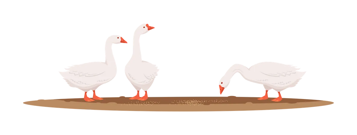 Duck Eating Food  Illustration