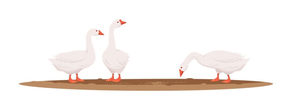 Duck Eating Food  Illustration