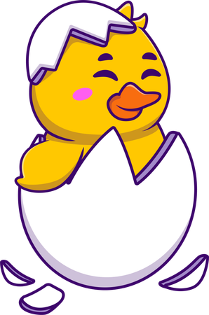 Duck In Egg  Illustration