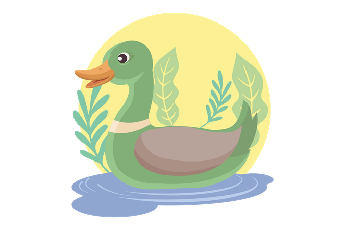 Duck swimming in lake Illustration