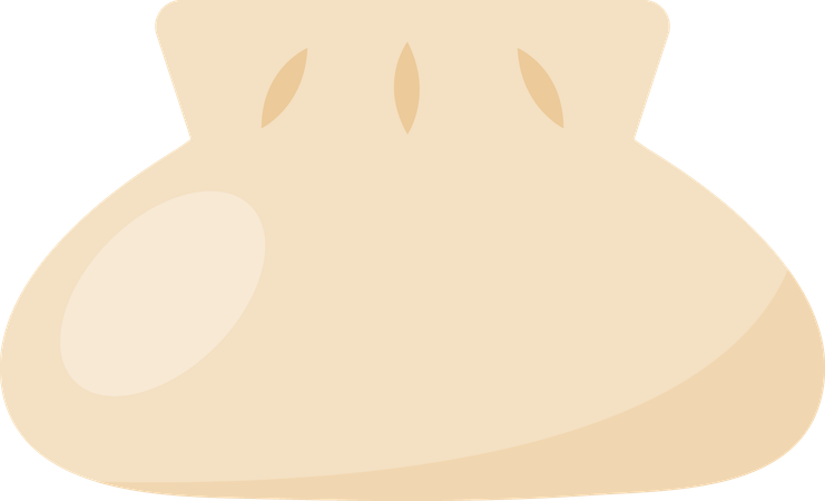 Dumpling  Illustration