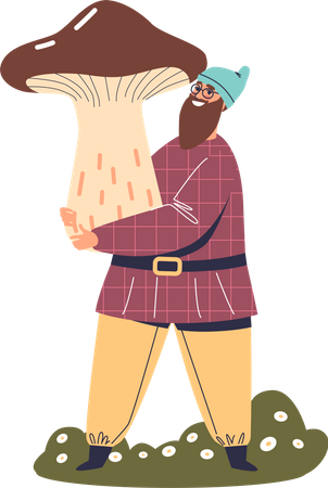 Dwarf gathering mushroom  Illustration