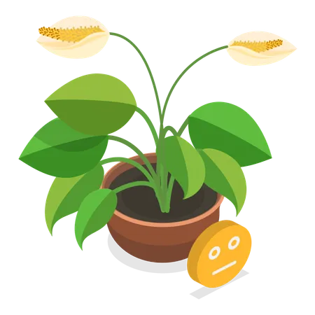 Dying Plant  Illustration