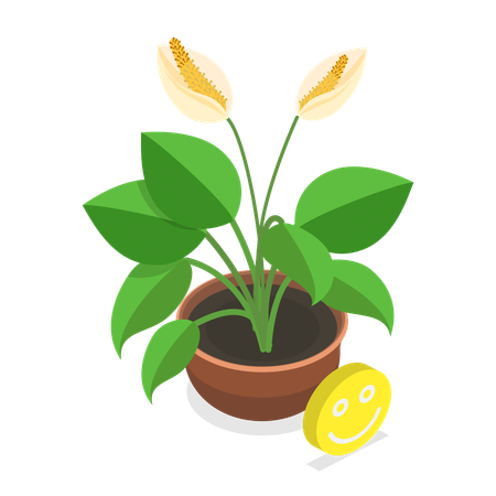 Dying Plant  Illustration