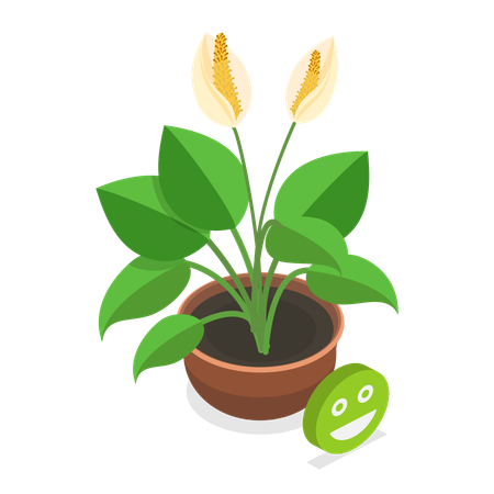 Dying Plant  Illustration