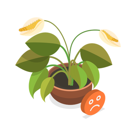 Dying Plant  Illustration