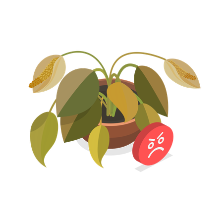 Dying Plant  Illustration