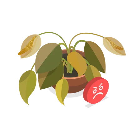 Dying Plant  Illustration