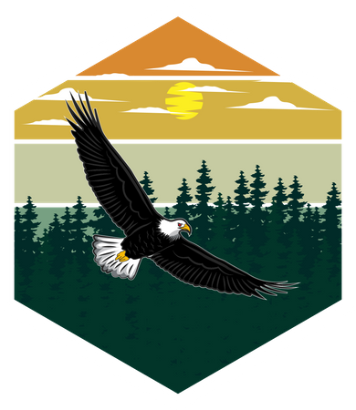 Eagle  Illustration