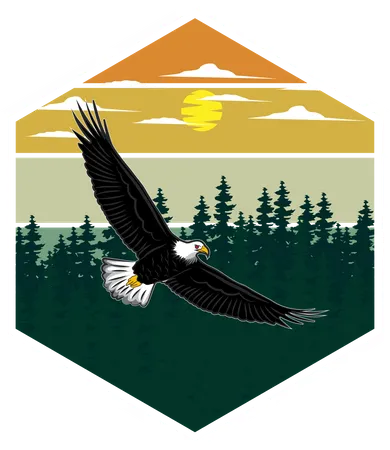Eagle  Illustration
