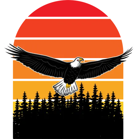 Eagle  Illustration