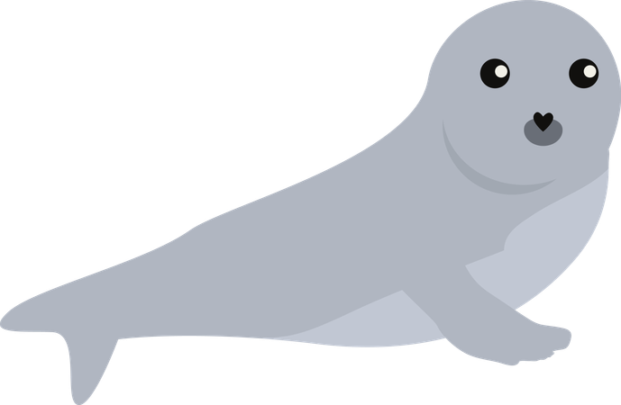 Earless seal  Illustration