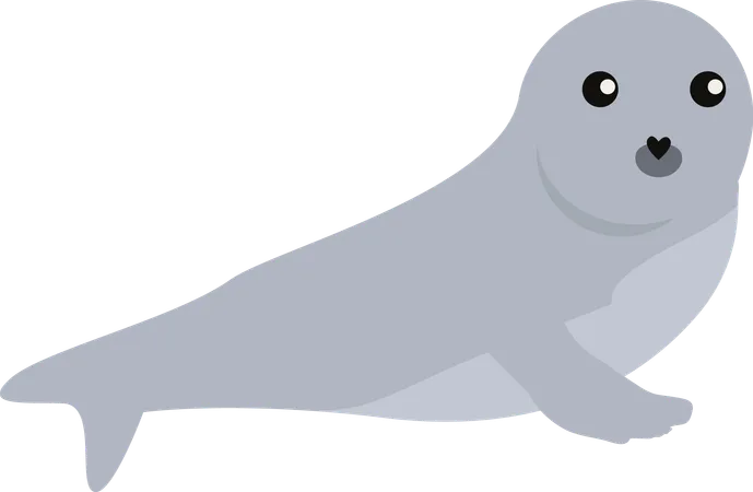 Earless seal  Illustration