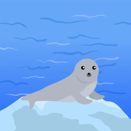 Earless seal  Illustration