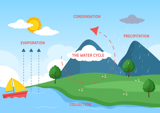 Earth water cycle  Illustration