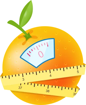 Eating citrus fruits for losing weight  Illustration