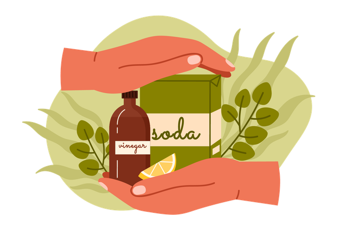 Eco friendly cleaning products  Illustration