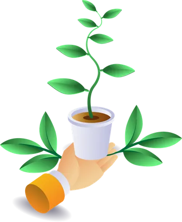 Eco green plants in pots  Illustration